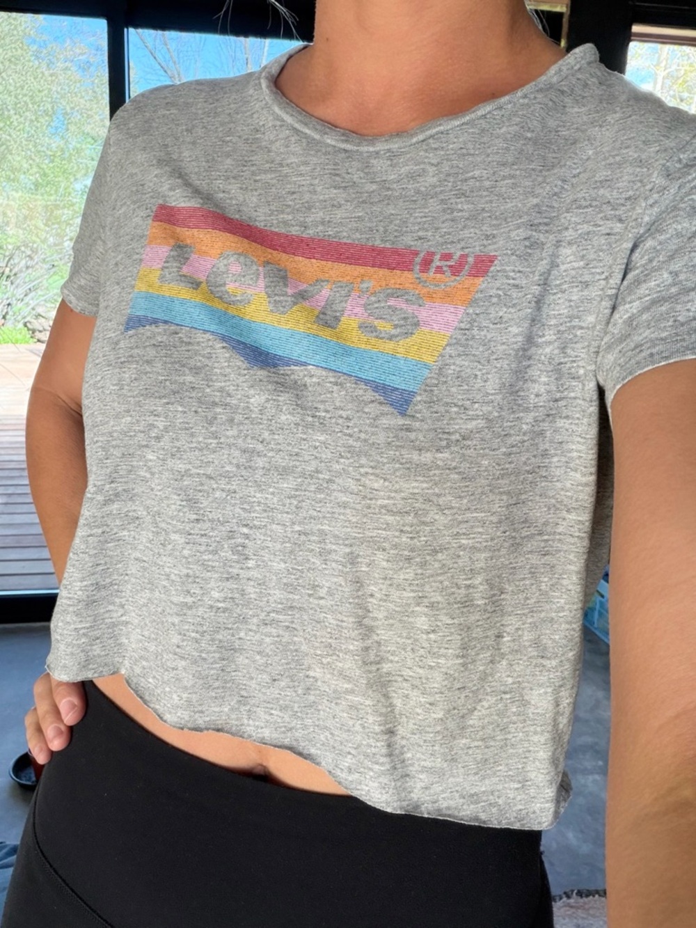 Levi's Gray Cropped Tee with Rainbow Striped Logo